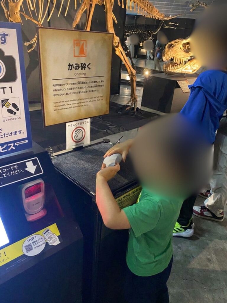 ヨコハマ恐竜展2026で「かみ砕く」恐竜の歯の模型に触る4歳児